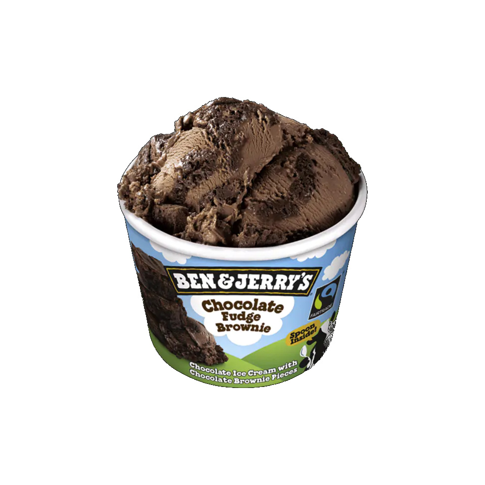 B&J CHOC.FUDGE BROWNIE 12UDSX100ML
