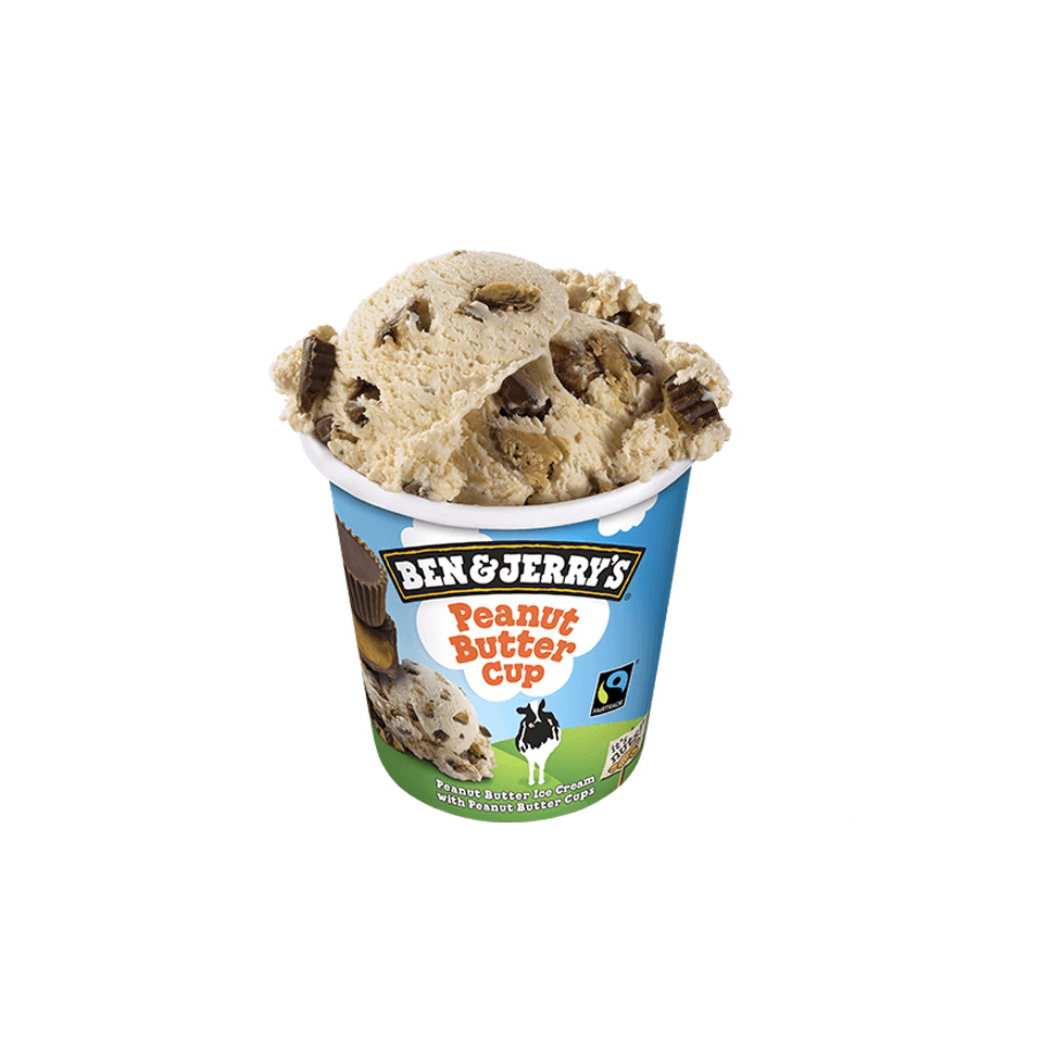 B&J PEANUT BUTTER 8UDSX465ML