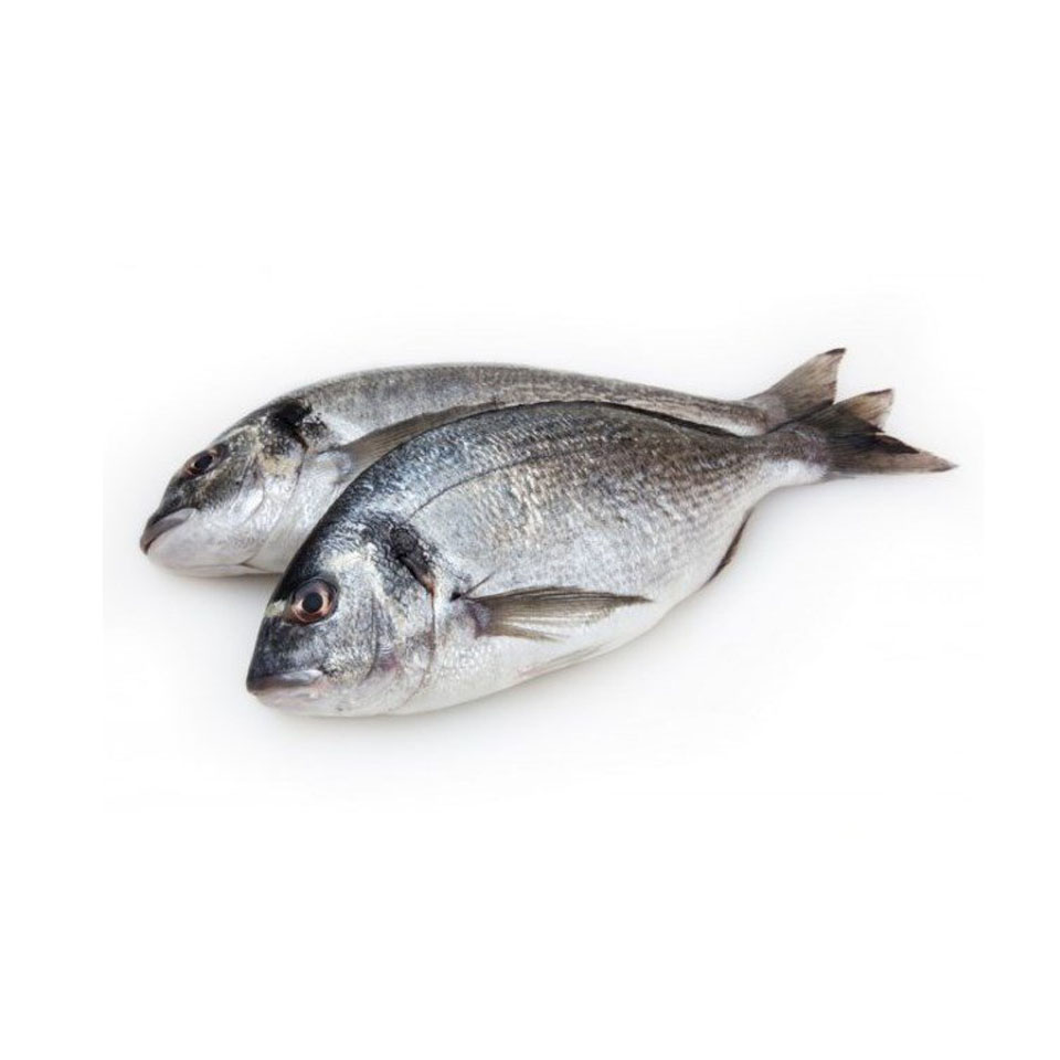 DORADA EVISCERADA 300 GR 2 KG